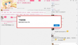 下载bilibili视频,下载与观看的完美融合